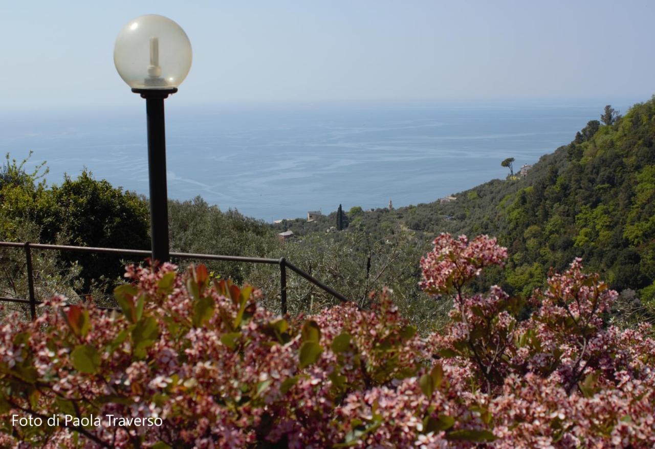 Azalea Villa Реко Екстериор снимка
